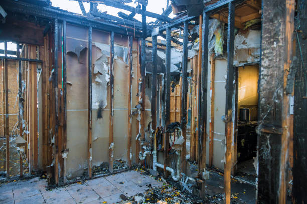 Professional Fire Damage Removal technician working in Morrison, IL
